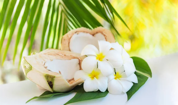 Cortes de coco frescos com folhas de palma tropicais e flores de frangipani — Fotografia de Stock
