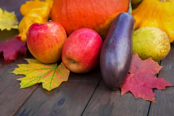 Autumn Food Crop Vegetables Harvest Outdoors Nature Concept — Stock Photo, Image