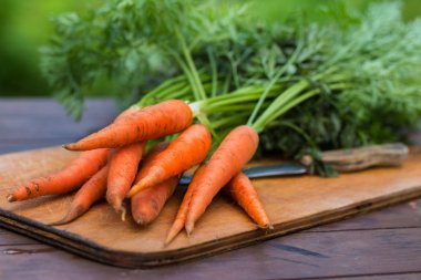 Havuç sebze taze yığın hasat ahşap arka plan üzerinde kırpma