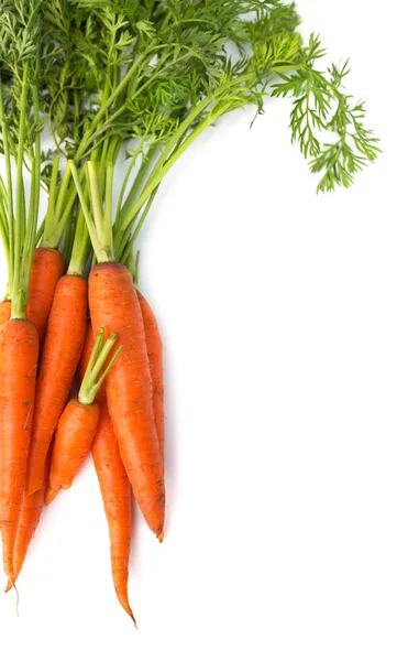 Beyaz arka plan üzerinde izole taze havuç yığın sebze