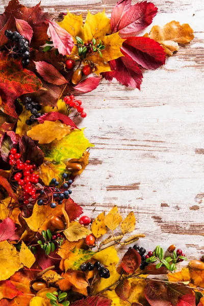 Arka plan sezon tasarım konsepti sonbahar sonbahar yaprakları