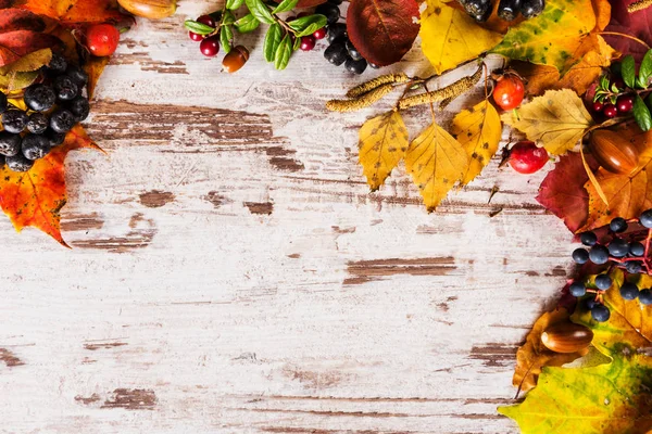 Arka plan sezon tasarım konsepti sonbahar sonbahar yaprakları