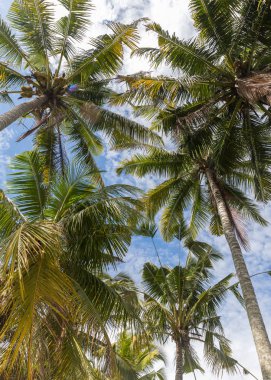 Gökyüzü önünde mükemmel avuç içi