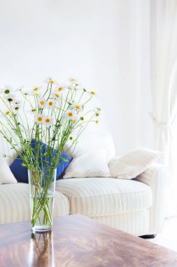 Kanepe önünde beyaz oturma odasında bir masaya mükemmel papatya çiçek