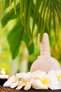 Spa konsept ot tuz ve plumeria çiçek tropic yaprak zemin üzerine