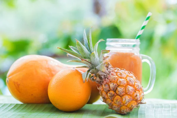 热带的异国菠萝和木瓜水果与 Jar 思慕雪摇果汁饮料在户外用棕榈叶 免版税图库图片