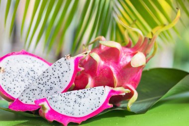 Taze, lezzetli Dönencesi, egzotik ejderha pitahya dragon meyve avuç içi yakınındaki