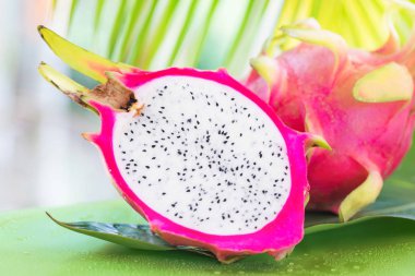 Taze, lezzetli Dönencesi, egzotik ejderha pitahya dragon meyve avuç içi yakınındaki