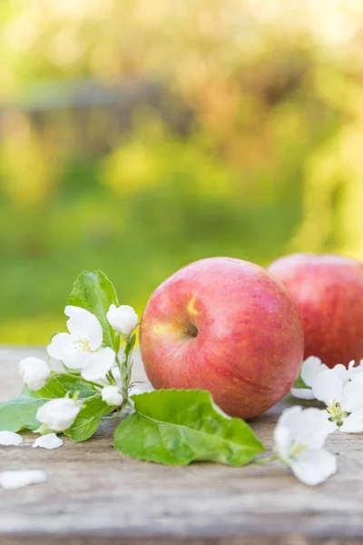 新鲜的甜多汁的红色苹果与花在木背景在庭院 — 图库照片
