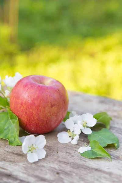 Manzanas Rojas Jugosas Dulces Frescas Con Flores Sobre Fondo Madera — Foto de Stock