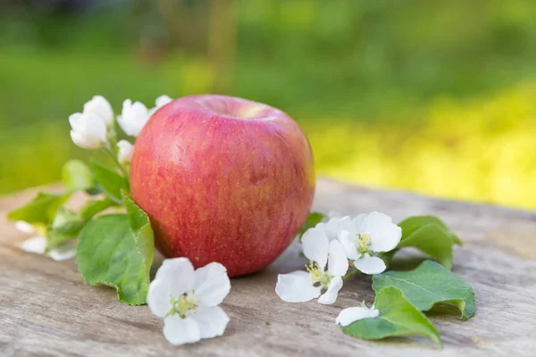 Čerstvé Sladké Šťavnaté Červená Jablka Květinami Dřevěné Pozadí Zahradě — Stock fotografie