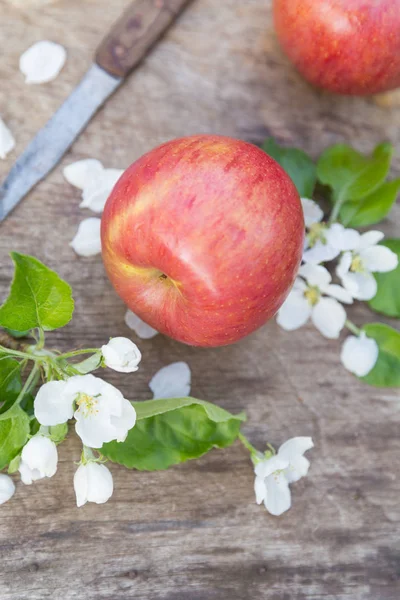 新鲜的甜多汁的红色苹果与花在木背景在庭院 — 图库照片