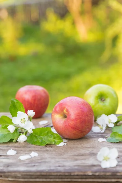 Manzanas Rojas Verdes Jugosas Dulces Frescas Con Flores Sobre Fondo — Foto de Stock