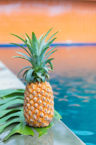 Taze Sarı Ananas Tropik Meyve Yaz Ferahlık Yüzme Havuzu Yakınlarında — Stok fotoğraf