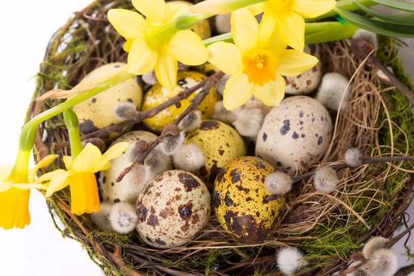 Påskägg Boet Vit Bakgrund — Stockfoto