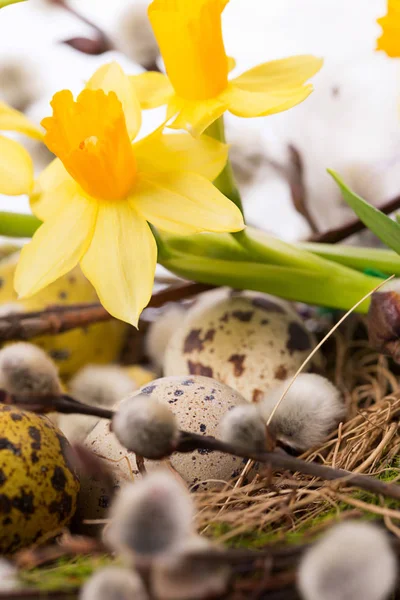Jaja Wielkanocne Gnieździe Białym Tle — Zdjęcie stockowe