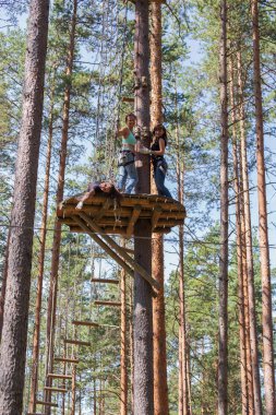 Bir macera ip parkta tırmanma genç cesur kadın