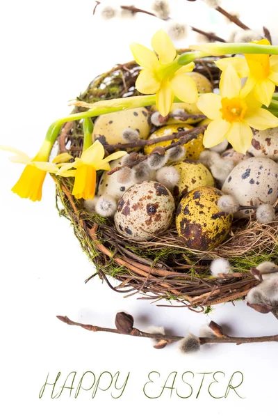 Huevos de Pascua en el nido con narciso — Foto de Stock