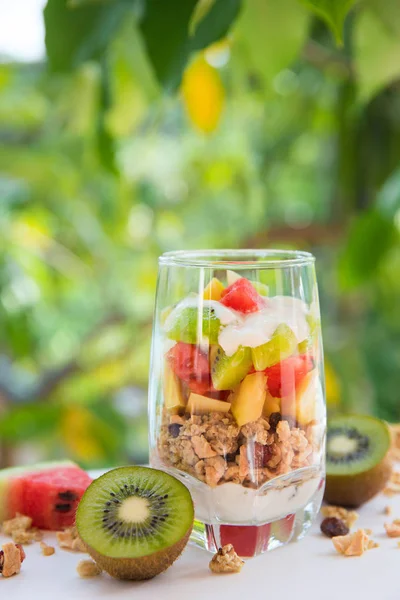 Fresco fatto in casa tropicale muesli muesli esotico colazione con tagli di frutta — Foto Stock