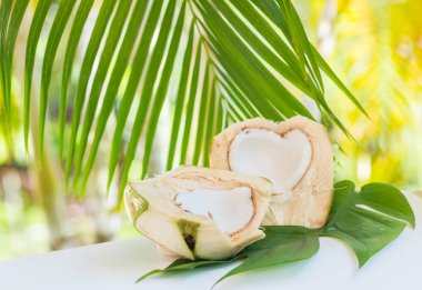 Tropikal hindistan cevizi kesimi. Egzotik yaz vegan diyet. Taze olgun yeşil vejetaryen sağlıklı gıda.