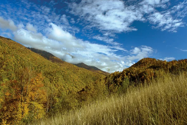 Batı Kafkasya. Rusya