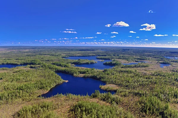 West Siberian lowland between the rivers Ob and Yenisei from a bird\'s eye view. In the Far North of the Krasnoyarsk Territory. Russi