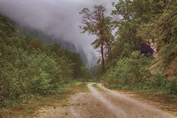 Akhtsu gorge Karadeniz çok uzak olmayan Mzımta Nehri üzerinde yer almaktadır. Gorge uzunluğu 3 km mesafededir. 80 dik duvarlar yüksekliğe ulaşır