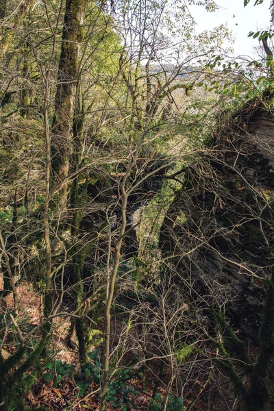 Suché Kaňony Řeky Psakhi Poblíž Města Soči Rusko — Stock fotografie