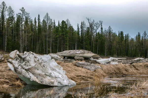 Kuru Tunguska Irmağı. Yenisey Irmağı sağ kolu. Krasnoyarsk Bölgesi. Rusya