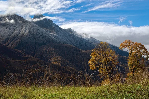 Üst kısımları Sochi ve Krasnaya Polyana. Karadeniz'in kıyı bölgesi