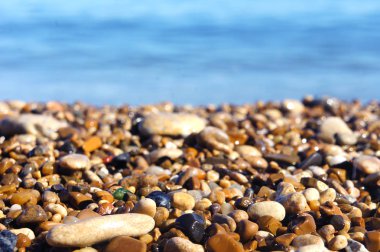 Deniz taşları ve deniz kabukları deniz ve mavi bir arka plan üzerinde sahil şeridi 
