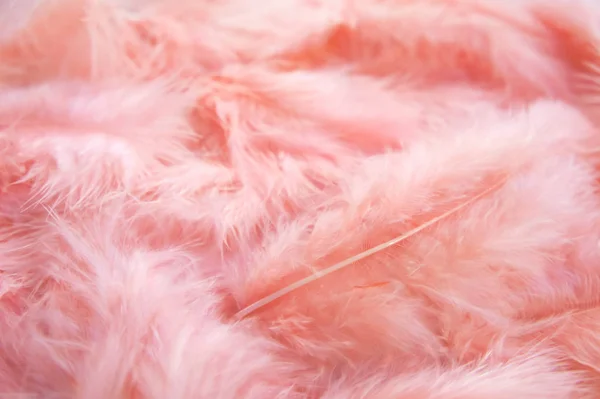 pembe hassas tüyler arka plan. kadınsı kabarık pembe