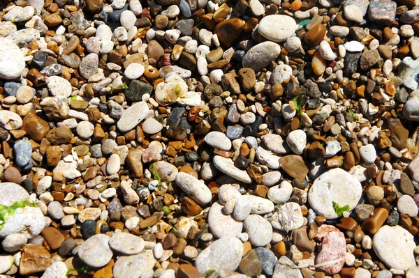 Background of a fine smooth multicolored sea pebbles. Sand and sand grains — Stock Photo, Image