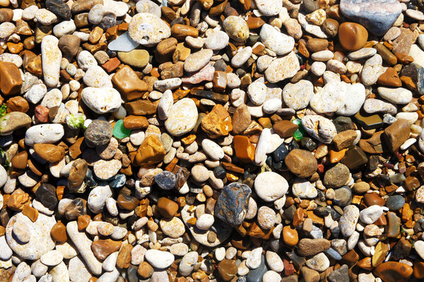 background of a fine smooth multicolored sea pebbles. Sand and sand grains