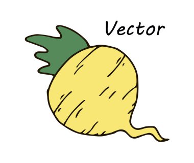 Çocuklar, şeker pancarı tarım ürün için beyaz pancar şirin renk vektör çizimleri. Turp sebze simgesi