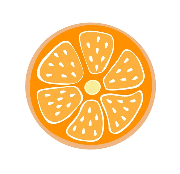 Vector ilustración naranja en un corte, rebanada redonda de cítricos — Vector de stock