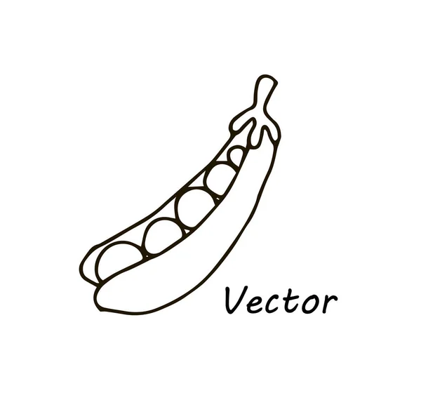 Simple lindo vector dibujo vaina de guisante para colorear, para diseño de niños y logotipo — Vector de stock