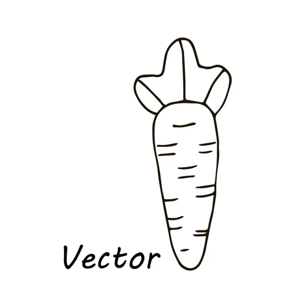 Simples bonito vetor desenho cenoura para colorir, para crianças design e logotipo — Vetor de Stock