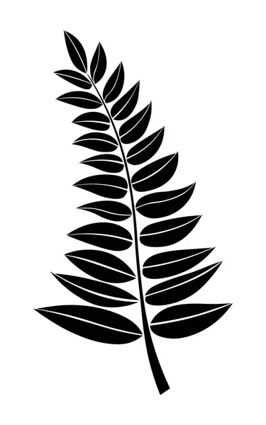 Silhouette vectorielle noire d'une branche aux feuilles. élément de conception. Dessinez à la main des branches de plantes et d'arbres. silhouettes florales. illustration botanique . — Image vectorielle