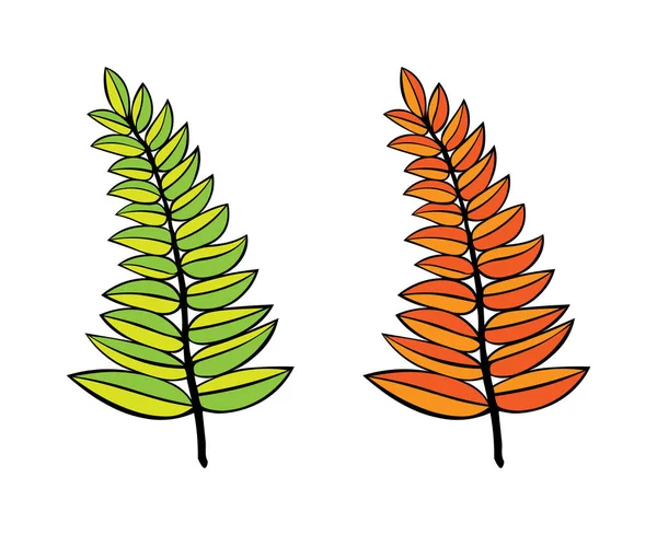 Ramas vectoriales. ramas de árbol dibujadas a mano con hojas aisladas sobre fondo blanco. elemento de diseño deja tatuaje decoración. logo — Vector de stock