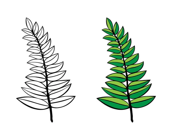 Conjunto de ramas vectoriales. ramas de árbol dibujadas a mano con hojas aisladas sobre fondo blanco. elemento de diseño deja decoración. tatuaje. logo — Vector de stock