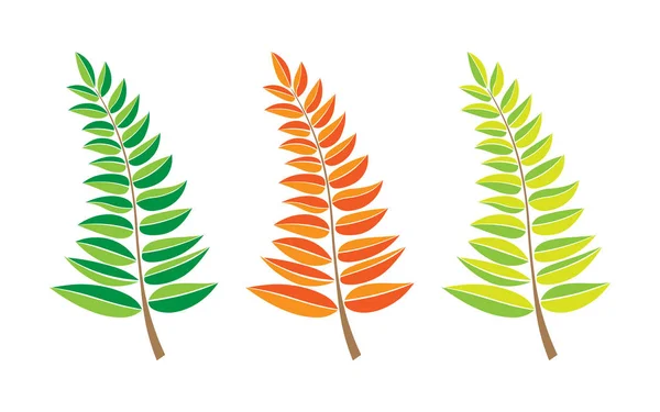 Conjunto de ramas vectoriales. ramas de árbol dibujadas a mano con hojas verdes y anaranjadas aisladas sobre fondo blanco. elemento de diseño deja decoración. icono del logo — Vector de stock