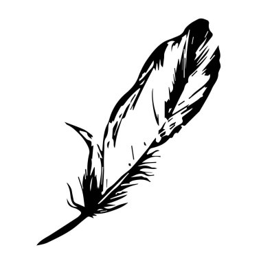 bir tüy kuş vektör. siyah siluet. Tüy vektör çizim bir renk.