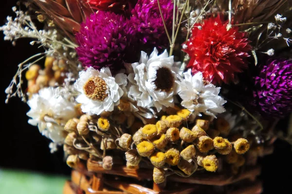 bouquet of dried flowers. spring flower bouquet photography. dry flowers
