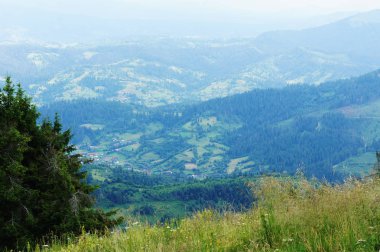 Karpatlar, Ukrayna. Blue Dağları yatay mesafe. Fotoğraf dağ manzarası