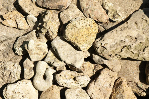 Uma pilha de pedras marinhas na areia no calor do sol — Fotografia de Stock