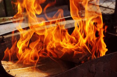 doğa kemikleri fry et sebze yemek brazier ateş