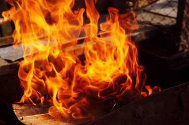doğa kemikleri fry et sebze yemek brazier ateş