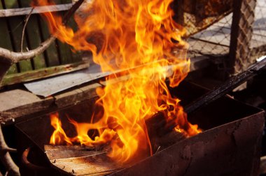doğa kemikleri fry et sebze yemek brazier ateş