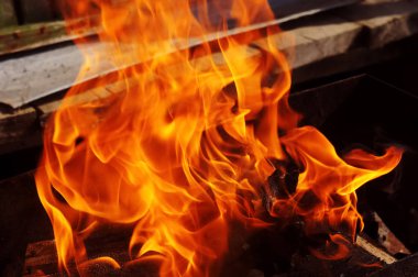 doğa kemikleri fry et sebze yemek brazier ateş